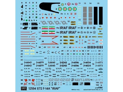 Grumman F-14 A Tomcat - Iranian Air Force - zdjęcie 2