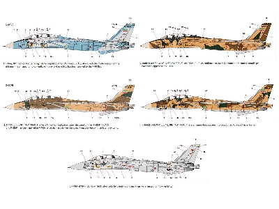Grumman F-14 A Tomcat - Iranian Air Force - zdjęcie 3