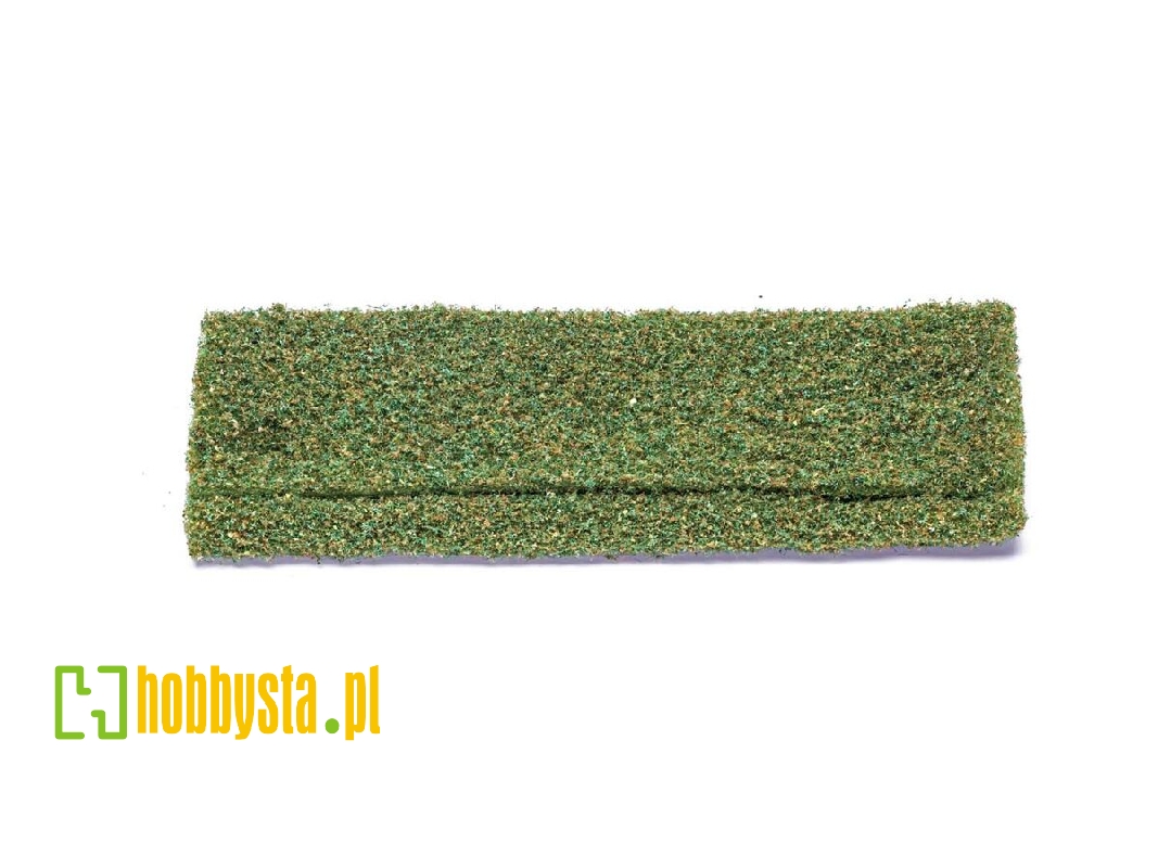 Skale Scenics - Foliage - Olive Green - zdjęcie 1