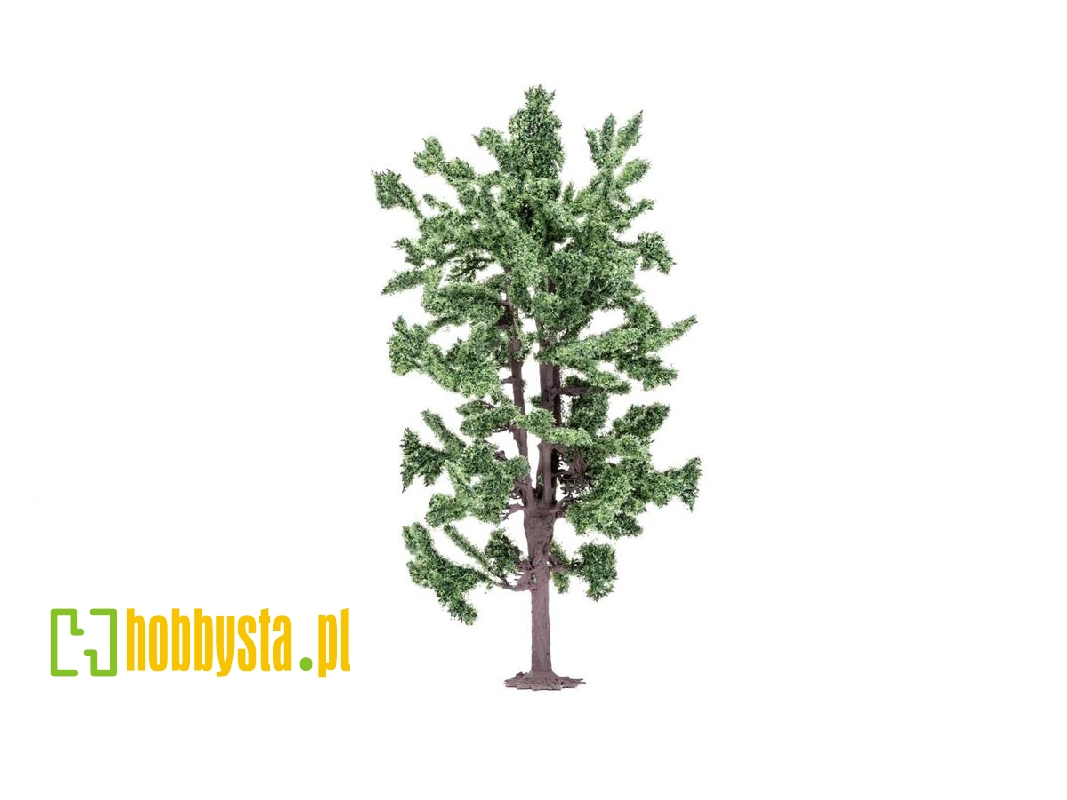 Skale Scenics - Lime Tree - zdjęcie 1
