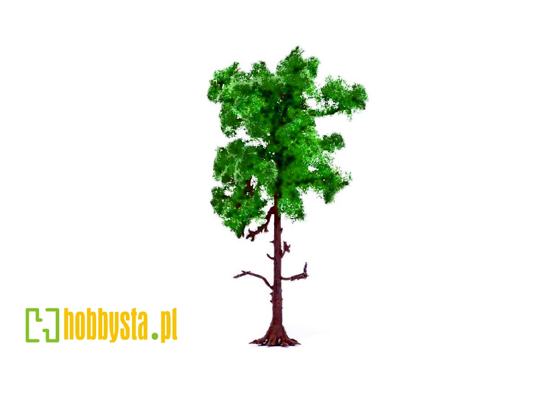 Skale Scenics - Medium Pine Tree 12 Cm - zdjęcie 1