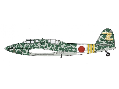 Kawasaki Ki45 Kai Tei Toryu (Nick) - 4th Flight Regiment Kaiten Seikutai - zdjęcie 2