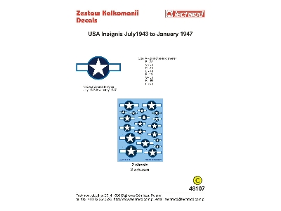 USA Insignia July 1943 To January 1947 - zdjęcie 1