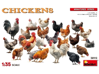 Chickens - zdjęcie 1