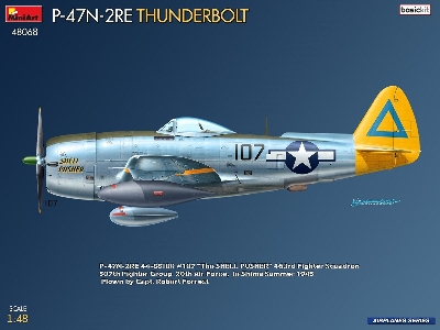 Republic P-47n-2re Thunderbolt (Basic Kit) - zdjęcie 2