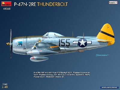 Republic P-47n-2re Thunderbolt (Basic Kit) - zdjęcie 13