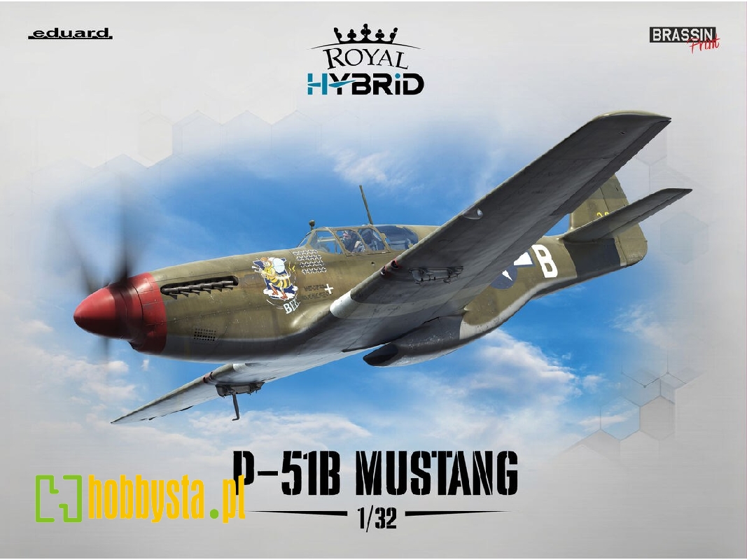 Nortn American P-51 B Mustang (Royal Hybrid Edition) - zdjęcie 1