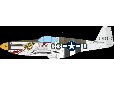 Nortn American P-51 B Mustang (Royal Hybrid Edition) - zdjęcie 6