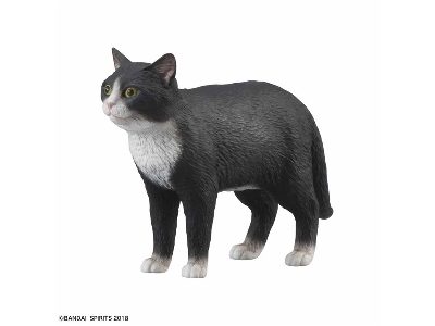 Neko Bosou Tenko Mori - zdjęcie 3