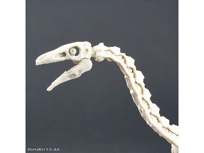 Plannosaurus - Therizinosaurus - zdjęcie 10