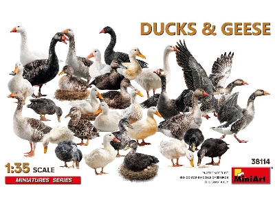 Ducks & Geese (33 Figures) - zdjęcie 1