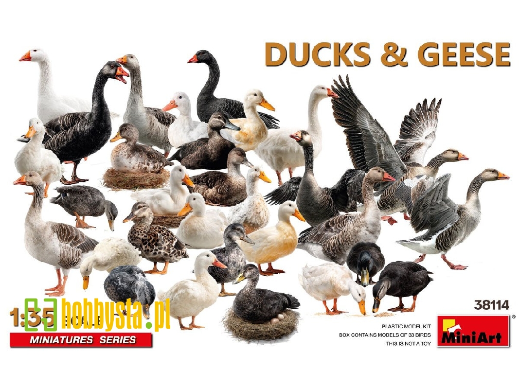 Ducks & Geese (33 Figures) - zdjęcie 1