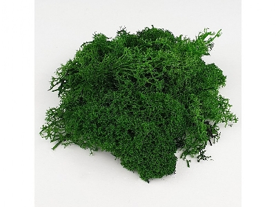 Green Moss - zdjęcie 3