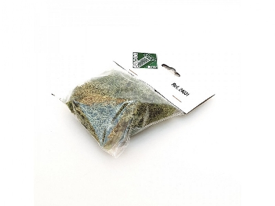Light Green Moss - zdjęcie 2