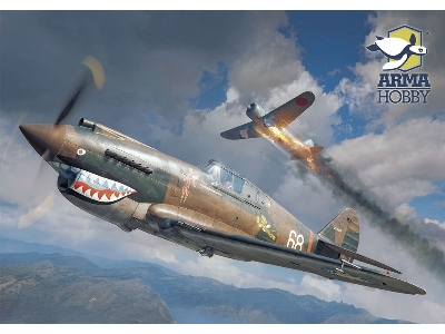 Curtiss Hawk 81-A2 - zdjęcie 2