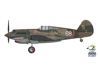 Curtiss Hawk 81-A2 - zdjęcie 3