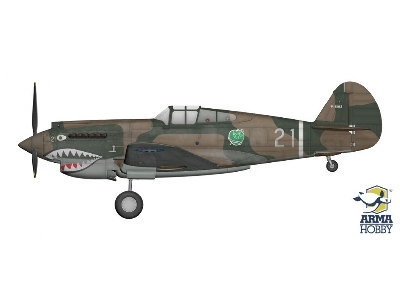 Curtiss Hawk 81-A2 - zdjęcie 4