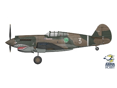 Curtiss Hawk 81-A2 - zdjęcie 5