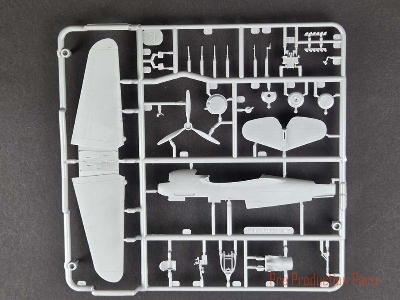 Curtiss Hawk 81-A2 - zdjęcie 7