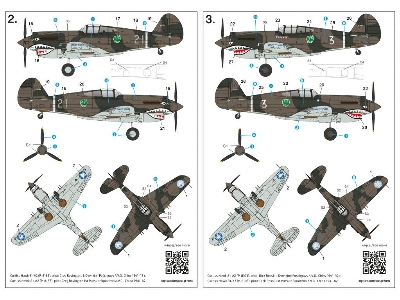 Curtiss Hawk 81-A2 - zdjęcie 19