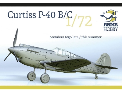 Curtiss Hawk 81-A2 - zdjęcie 20