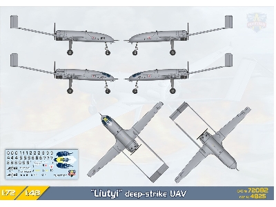 Antonov An-196 Liutyi - Deep Strike Uav - zdjęcie 7