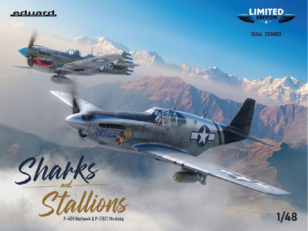 Sharks And Stallions Dual Combo (P-40 N  And P-51 B/C) - zdjęcie 1