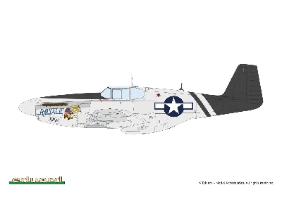 Sharks And Stallions Dual Combo (P-40 N  And P-51 B/C) - zdjęcie 2