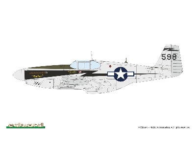 Sharks And Stallions Dual Combo (P-40 N  And P-51 B/C) - zdjęcie 6