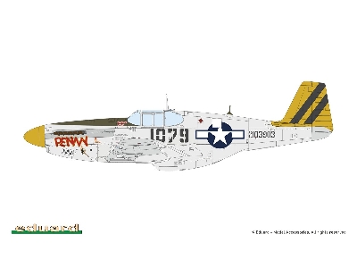 Sharks And Stallions Dual Combo (P-40 N  And P-51 B/C) - zdjęcie 7