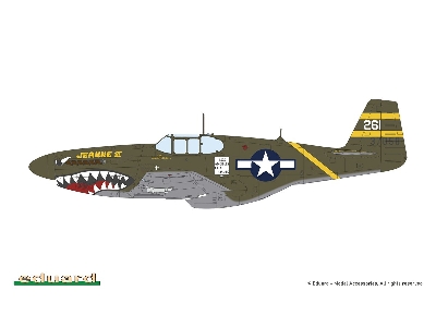 Sharks And Stallions Dual Combo (P-40 N  And P-51 B/C) - zdjęcie 8