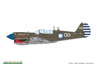 Sharks And Stallions Dual Combo (P-40 N  And P-51 B/C) - zdjęcie 10