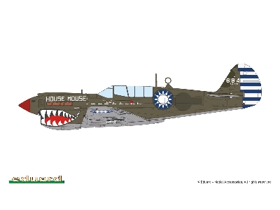 Sharks And Stallions Dual Combo (P-40 N  And P-51 B/C) - zdjęcie 12