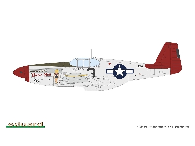 North American P-51 B/C Mustang (Birdcage Canopy) The Hybrid Edition - zdjęcie 11