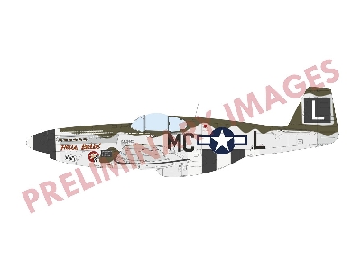 North American P-51 B Mustang (Malcolm Hood Canopy) Hybrid Edition - zdjęcie 7
