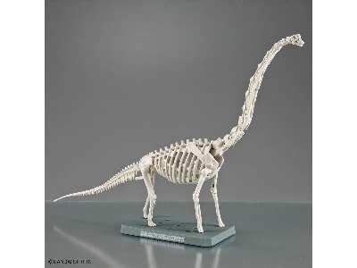 Plannosaurus - Brachiosaurus - zdjęcie 8