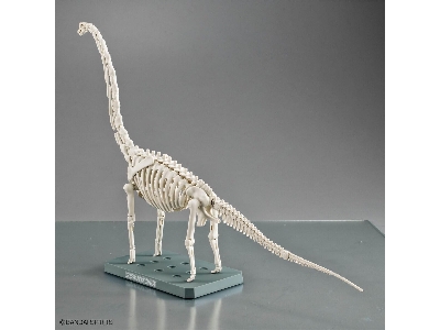 Plannosaurus - Brachiosaurus - zdjęcie 10