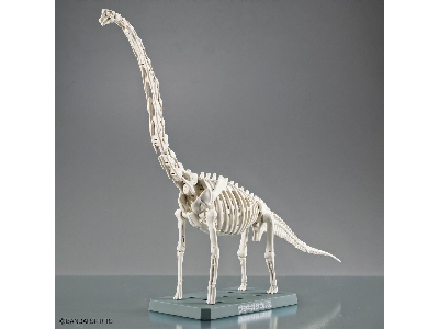 Plannosaurus - Brachiosaurus - zdjęcie 11
