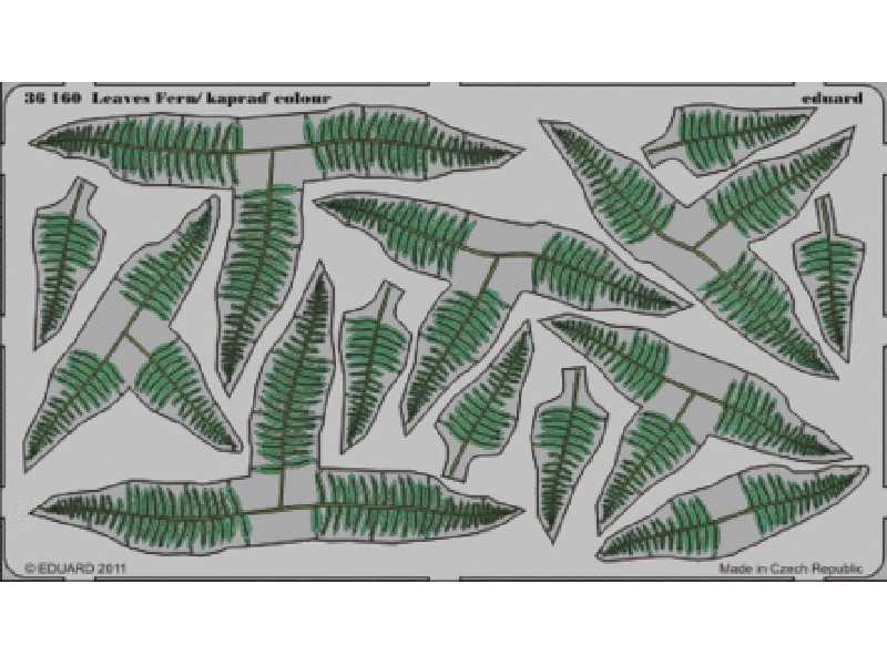 Leaves Fern - colour 1/35 - blaszki - zdjęcie 1 Leaves Fern - colour 1/35 - blaszki - zdjęcie 1