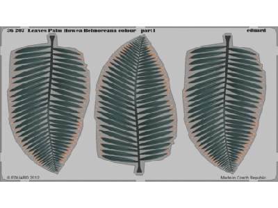  Leaves Palm Howea Belmoreana colour 1/35 - blaszki - zdjęcie 1