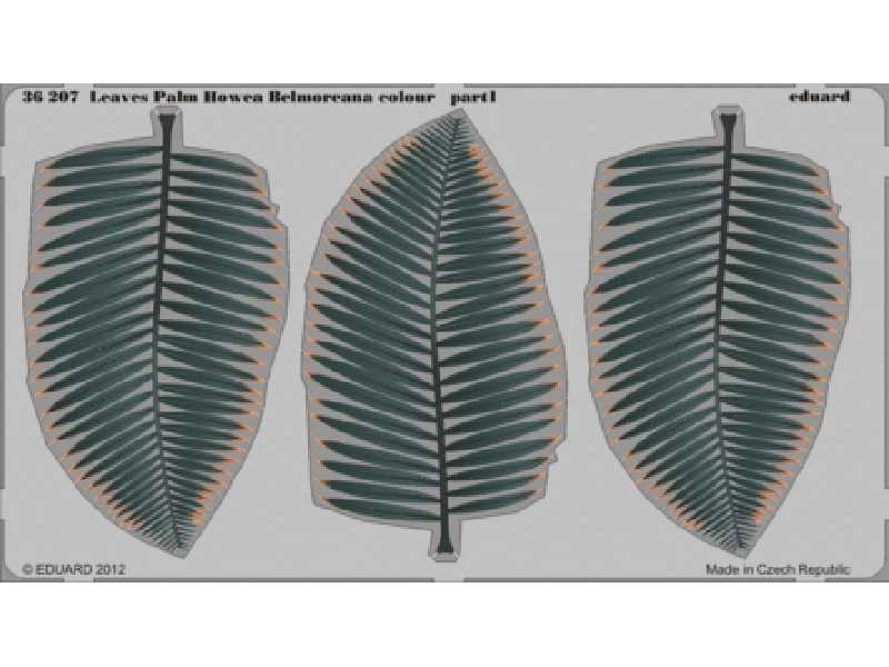  Leaves Palm Howea Belmoreana colour 1/35 - blaszki - zdjęcie 1