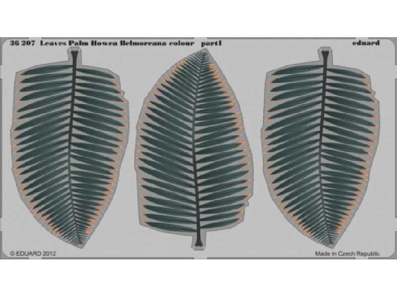 Leaves Palm Howea Belmoreana colour 1/35 - blaszki - zdjęcie 1 Leaves Palm Howea Belmoreana colour 1/35 - blaszki - zdjęcie 1