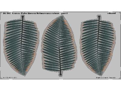  Leaves Palm Howea Belmoreana colour 1/35 - blaszki - zdjęcie 2