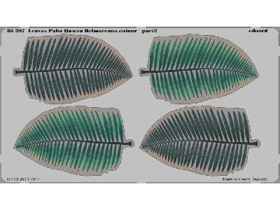  Leaves Palm Howea Belmoreana colour 1/35 - blaszki - zdjęcie 3