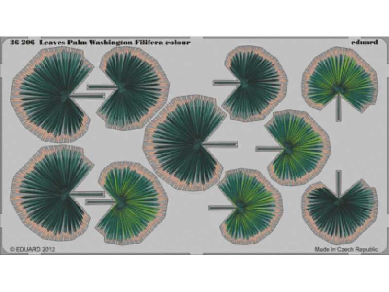  Leaves Palm Washington Filifera colour 1/35 - blaszki - zdjęcie 1