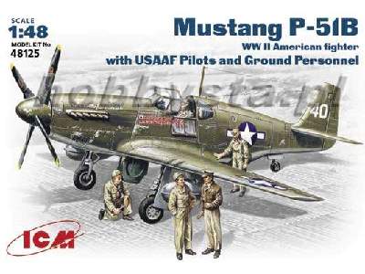 Mustang P-51D with USAAF Pilots and Ground Personnel - zdjęcie 1