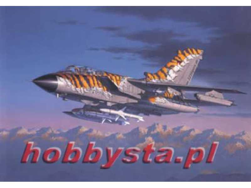 Tornado ECR "Tigermeet 2001/02" - zdjęcie 1 Tornado ECR "Tigermeet 2001/02" - zdjęcie 1