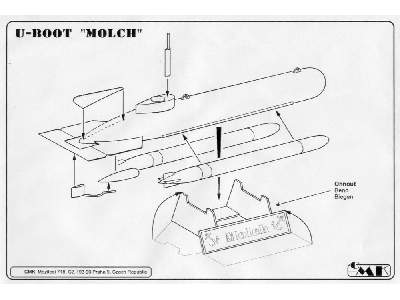 Molch - zdjęcie 3