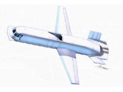 Northrop Tacit Blue - zdjęcie 1