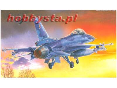 F-16 C Block - polskie oznaczenia - zdjęcie 1